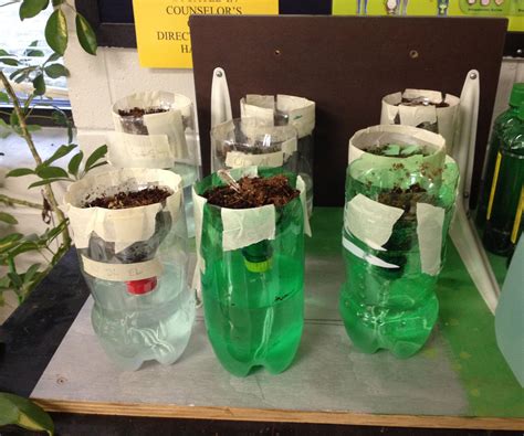 experiments with hydroponics